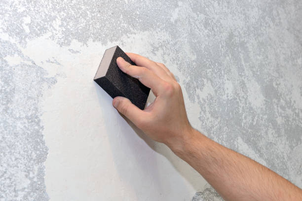 Best Air Quality Testing for Mold Spores  in Peshtigo, WI