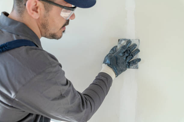 Best Crawl Space Mold Remediation  in Peshtigo, WI