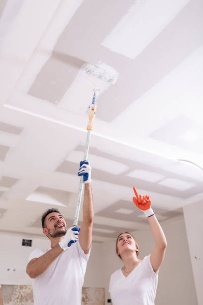 Best Industrial Mold Remediation  in Peshtigo, WI