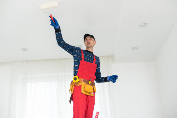  Peshtigo, WI Mold Removal Pros