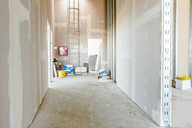 Peshtigo, WI Mold Removal Company