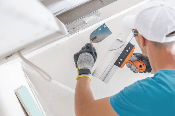 Best Mold Remediation for Healthcare Facilities  in Peshtigo, WI